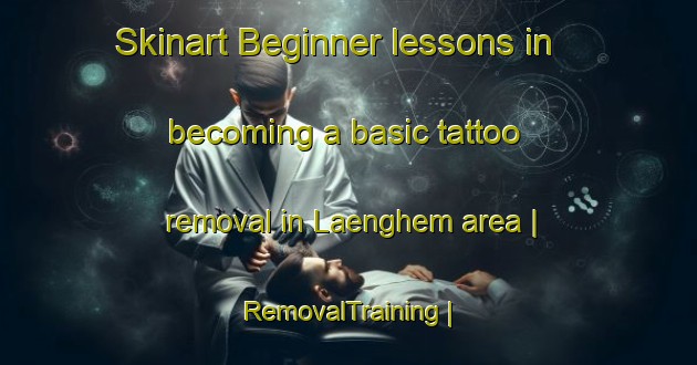 Skinart Beginner lessons in becoming a basic tattoo removal in Laenghem area | RemovalTraining | RemovalClasses | SkinartTraining-Sweden